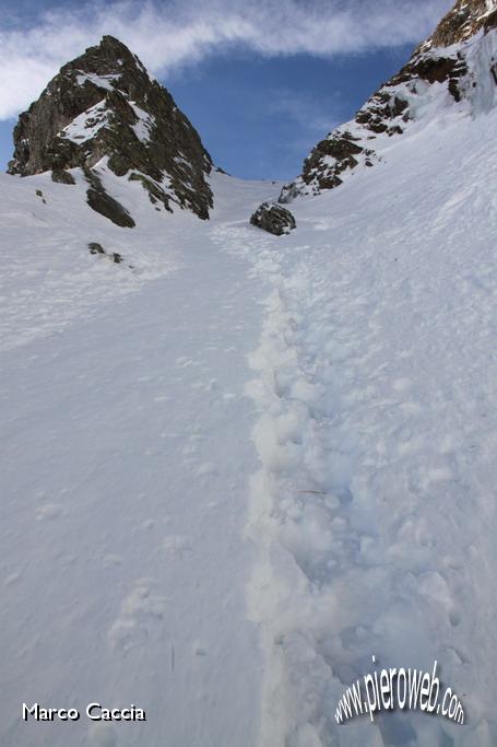 27_Il canalino e le nostre peste.JPG